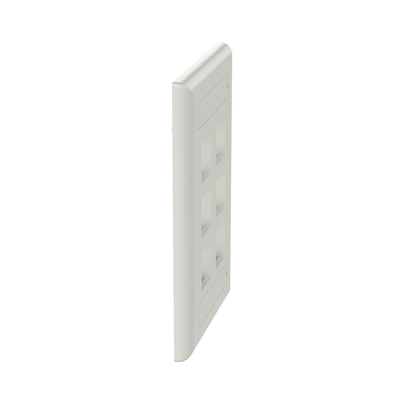 PANDUIT - Placa de Pared Vertical, Salida Para 6 Puertos Keystone, Con Espacios Para Etiquetas, Color Blanco Mate