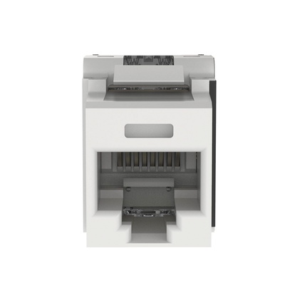 PANDUIT - Conector Jack Estilo 110 (de Impacto), Tipo Keystone, Categoría 6A, de 8 Posiciones y 8 Cables, Color Blanco