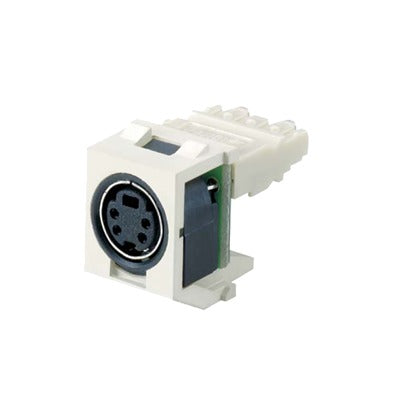 PANDUIT - Módulo S-Vídeo punchdown - Blanco mate