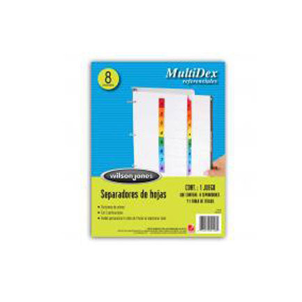ACCO - SEPARADOR ACCO 449 MULTIDEX MENSUAL