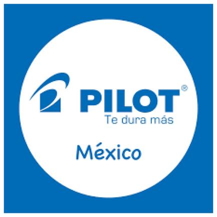 PILOT PEN - Marcador Pilot TEXTIL Laundry-Tec tinta permanente e impermeable C/12 Pzas