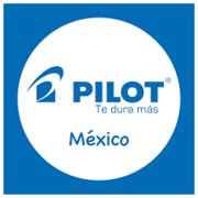 PILOT PEN - Resaltador Pilot KIRE-NA doble punta Cincel/Fino color Verde C/10