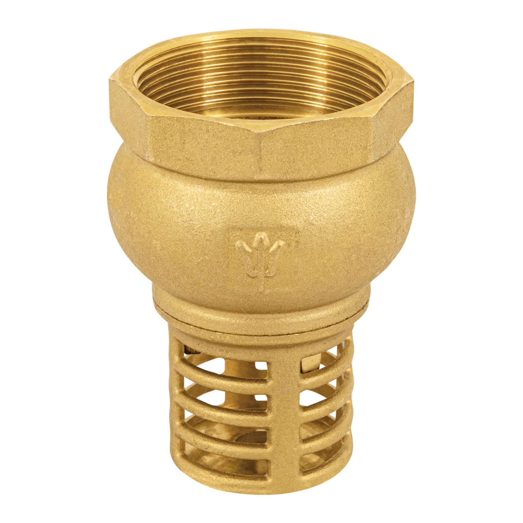 Pichancha con rejilla de laton 2', Foset