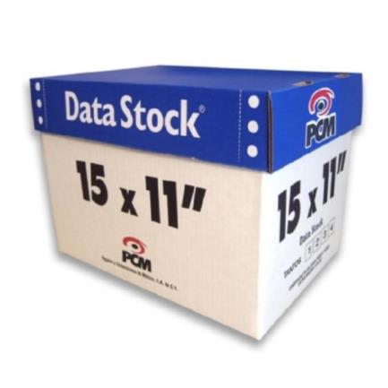 PCM - Papel PCM DataStock 15x11" 1Tantos Blanco C/3000 Hojas