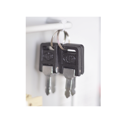 ACCESSPRO - Controlador de trafico para 22 luces de semaforo