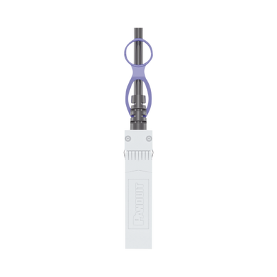 PANDUIT - Cable de Alta Velocidad Twin-axial (DAC), SFP+ a SFP+ 10G, Color Negro, de 1 Metro