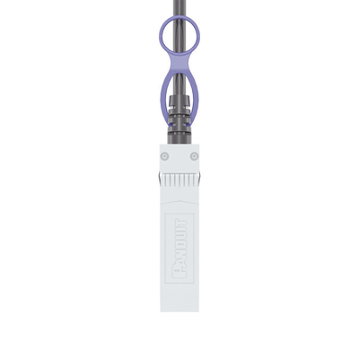 PANDUIT - Cable de Alta Velocidad Twin-axial (DAC), SFP+ a SFP+ 10G, Color Negro, de 3 Metros