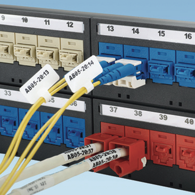 PANDUIT - Kit de 10 Dispositivos para Bloquear Puertos Jack RJ45, Color Negro, Incluye Llave de Extracción