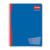 SCRIBE - CUADERNO SCRIBE PROFESIONAL ESCOLAR C7 100 HJS