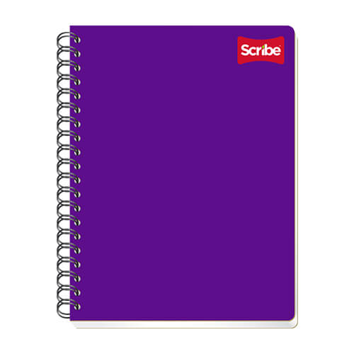 SCRIBE - CUADERNO SCRIBE PROFESIONAL CLASICO C7 100 HJS