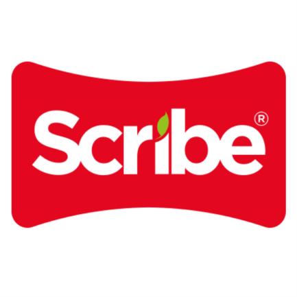 SCRIBE - Cuaderno Scribe Cosido Italiano Blanco Serie III 100 Hojas