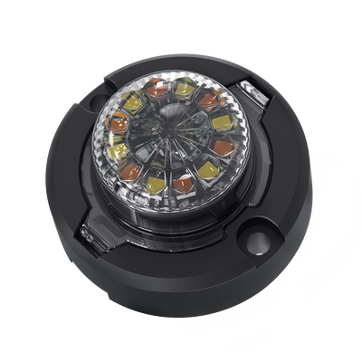 SIGNALPRO - Estrobo Oculto de 12 LED, Brida negra, 12 Vcd, Rojo/Azul, Lente transparente