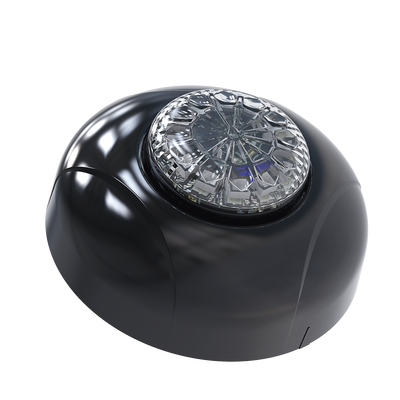 SIGNALPRO - Estrobo Oculto de 12 LED, Brida negra, 12 Vcd, Rojo/Azul, Lente transparente