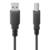 STEREN - Lector de Códigos de Barra Steren Inalámbrico Plug-Play Color Negro