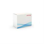 XEROX - Kit Inicialización Xerox 35PPM MFP Metered