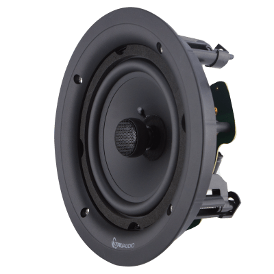 TRUAUDIO - Altavoz De 2 Vías Para Exteriores | Resistente A Humedad, Salitre Y Corrosión | Woofer De 8" En Polipropileno | Tweeter De 1" En Domo De Seda | 120W | 8 Ohms