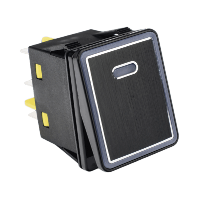 ACCESSPRO - Interruptor Industrial con LED / IP65 / Aluminio / NO-COM-NC / -40°C a 125°C (-40°F a 257°F) / 30A 24VDC