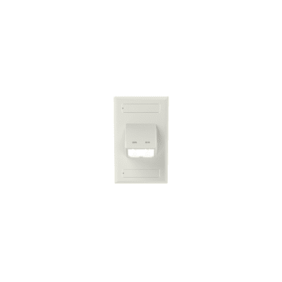 PANDUIT - Placa de Pared Vertical Clásica, Salida Para 2 Puertos Mini-Com Inclinados, Con Espacios Para Etiquetas, Color Blanco