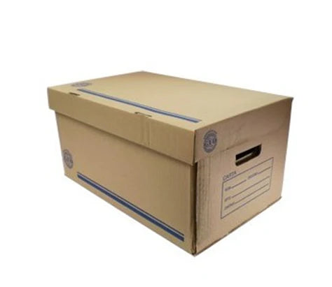 GEO - CAJA GEO ARCHIVO CARTON CARTA 50X31X25 CM C/20