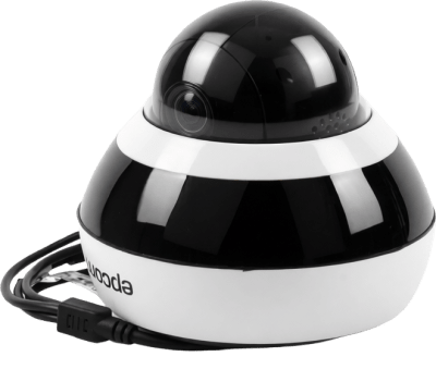 EPCOM PROFESSIONAL - Mini Domo PTZ Anti-vandalico IP66 4X Zoom HD-TVI 2 Megapixeles (1080P)