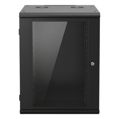 LINKEDPRO - Gabinete de Pared 16U / 635 mm (25 in) Profundidad / Cristal Templado / Acero Reforzado / 100 kg Capacidad / Interior