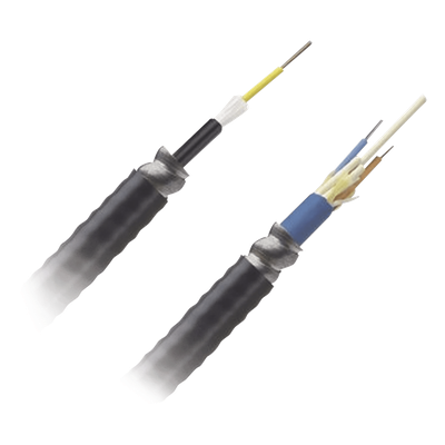 PANDUIT - Cable de Fibra Óptica / 6 Hilos / Monomodo OS2 / Interior-Exterior / Armado / Loose Tube 250μm / OFCR Riser