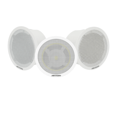HIKVISION - Kit Altavoz principal y 2 bocinas secundarias, solo alimenta la principal  | Bluetooth |  Hik-Connect | Musical Ambiental | Voceo | Calendarización de audios
