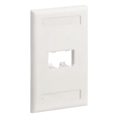 PANDUIT - Placa de Pared Vertical / 2 Puertos Mini-Com / Diseño Inclinado / Con Espacios para Etiquetas / 2.75 x 4.5 pulgadas / Blanco