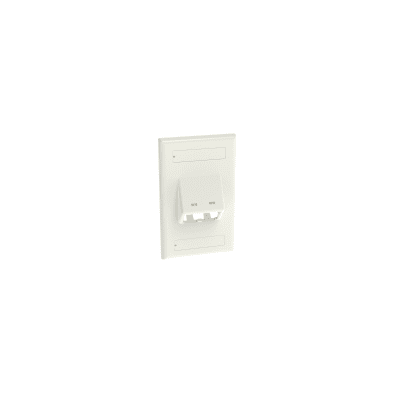 PANDUIT - Placa de Pared Vertical Clásica, Salida Para 2 Puertos Mini-Com Inclinados, Con Espacios Para Etiquetas, Color Blanco