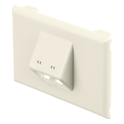 PANDUIT - Placa de Pared Horizontal / 2 Puertos Mini-Com / 69.8 x 114.3 mm / PVC / Blanco Mate / ROHS