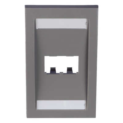 PANDUIT - Placa de Pared Vertical / 2 Puertos Mini-Com / Espacios para Etiquetas / 2.75 x 4.5 in / Gris