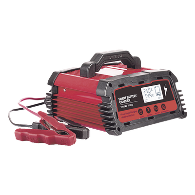 EPCOM POWERLINE - Cargador de Baterías / 12 o 24 Vcc / 25 A / Hasta 250 Ah / Display LCD / Entrada Universal AC 110-220 V