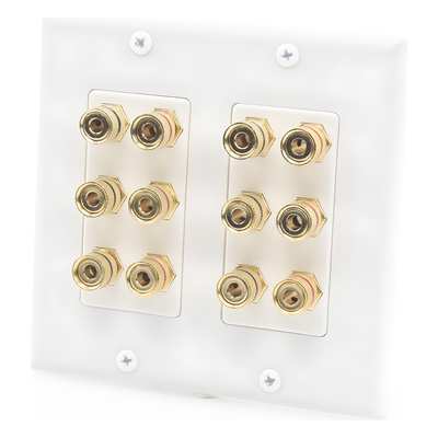 EPCOM PROAUDIO - Placa de Pared para Altavoces / 12 Postes Tipo Banana / 6 Canales / Conectores Chapados en Oro / Instalación sin Soldadura