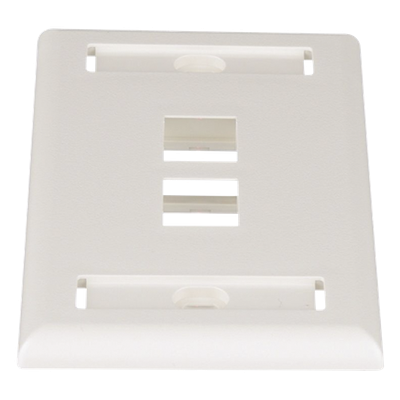 PANDUIT - Placa de Pared Vertical / 2 Puertos Keystone / Espacios para Etiquetas / Blanco Mate / 2.75 x 4.5 pulg.