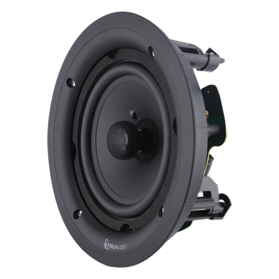 TRUAUDIO - Altavoz de 2 vías para exteriores / 8" woofer polipropileno / 1" tweeter seda / 120W / 8 Ohms / 90dB sensibilidad