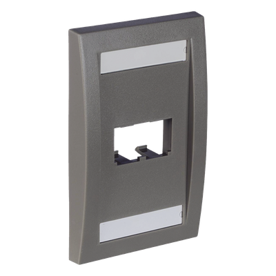 PANDUIT - Placa de Pared Vertical / 2 Puertos Mini-Com / Espacios para Etiquetas / 2.75 x 4.5 in / Gris