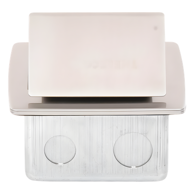 THORSMAN - Mini Caja de Piso Rectangular / Acero Inoxidable / 2 Contactos 127V / 15A / 12.4 x 12 x 7.2 cm / 4.88 x 4.72 x 2.83 pulg