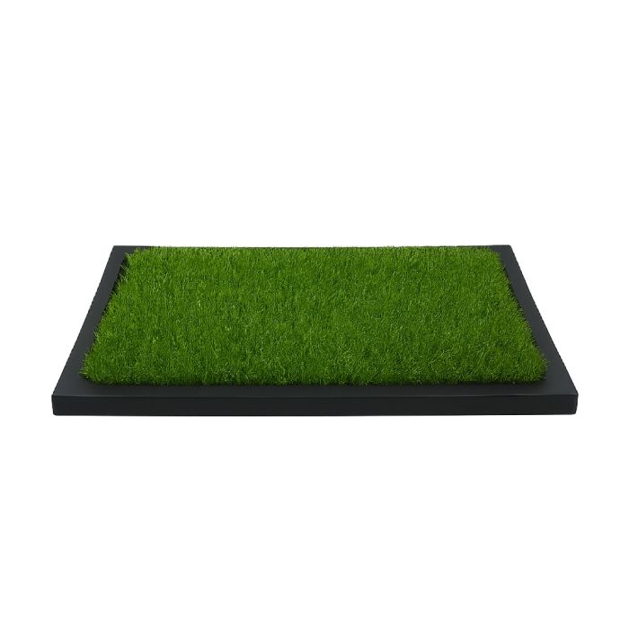 Tapete entrenador para perro (50 x 42 cms)