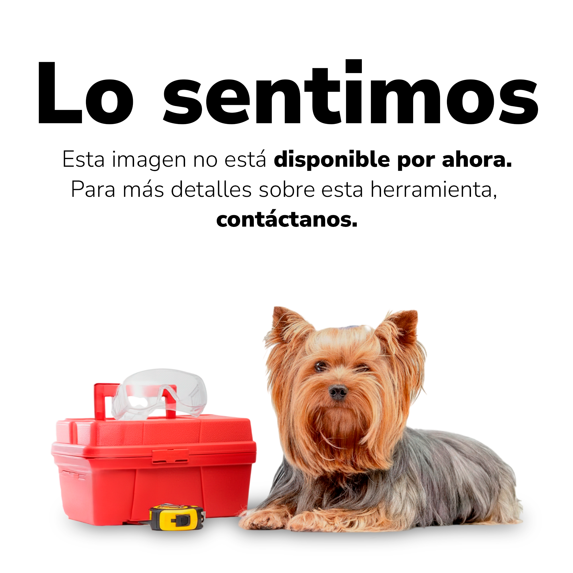 Surtek - Juego de accesorios para carretilla con llanta neumática de 2 capas